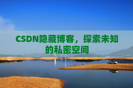 CSDN隐藏博客，探索未知的私密空间
